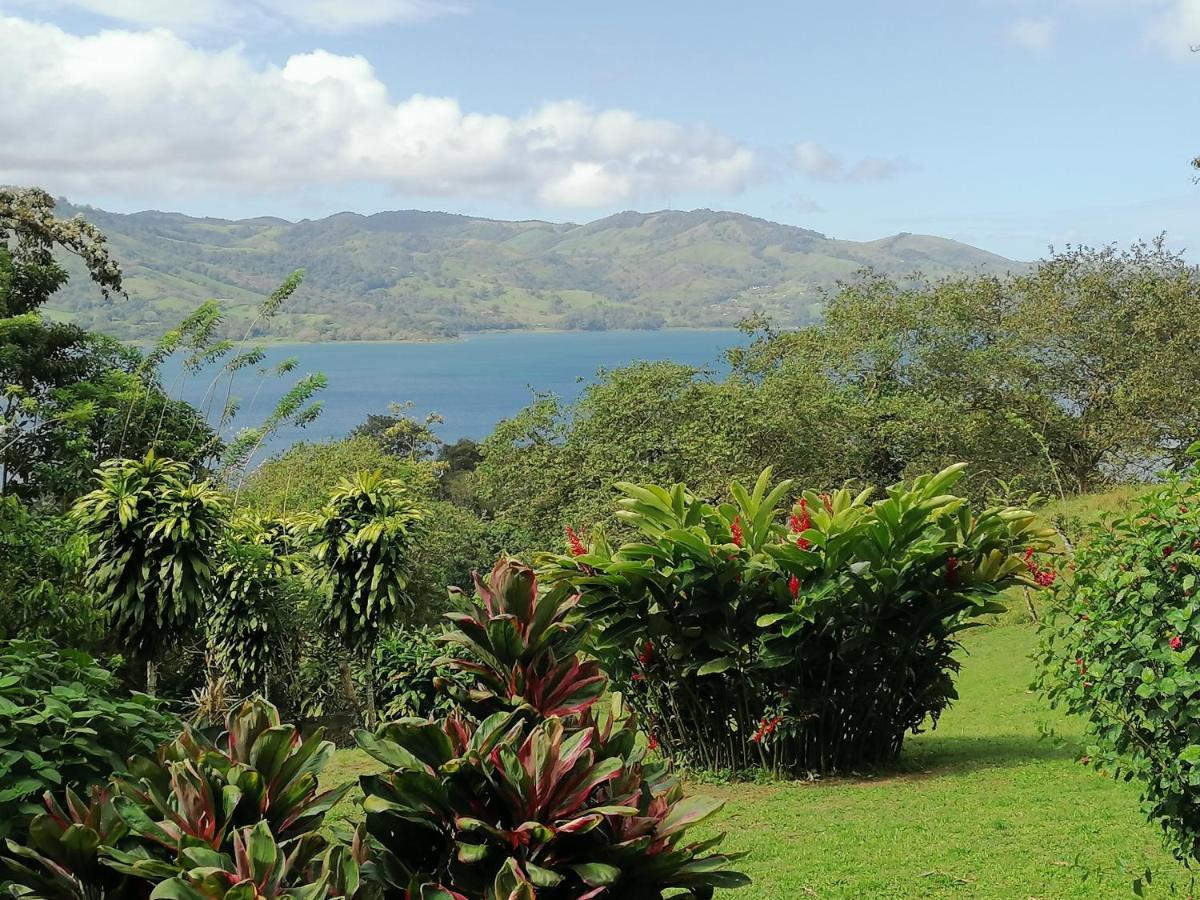 La Ceiba Tree Lodge Tilaran Ngoại thất bức ảnh