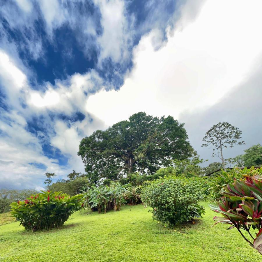 La Ceiba Tree Lodge Tilaran Ngoại thất bức ảnh