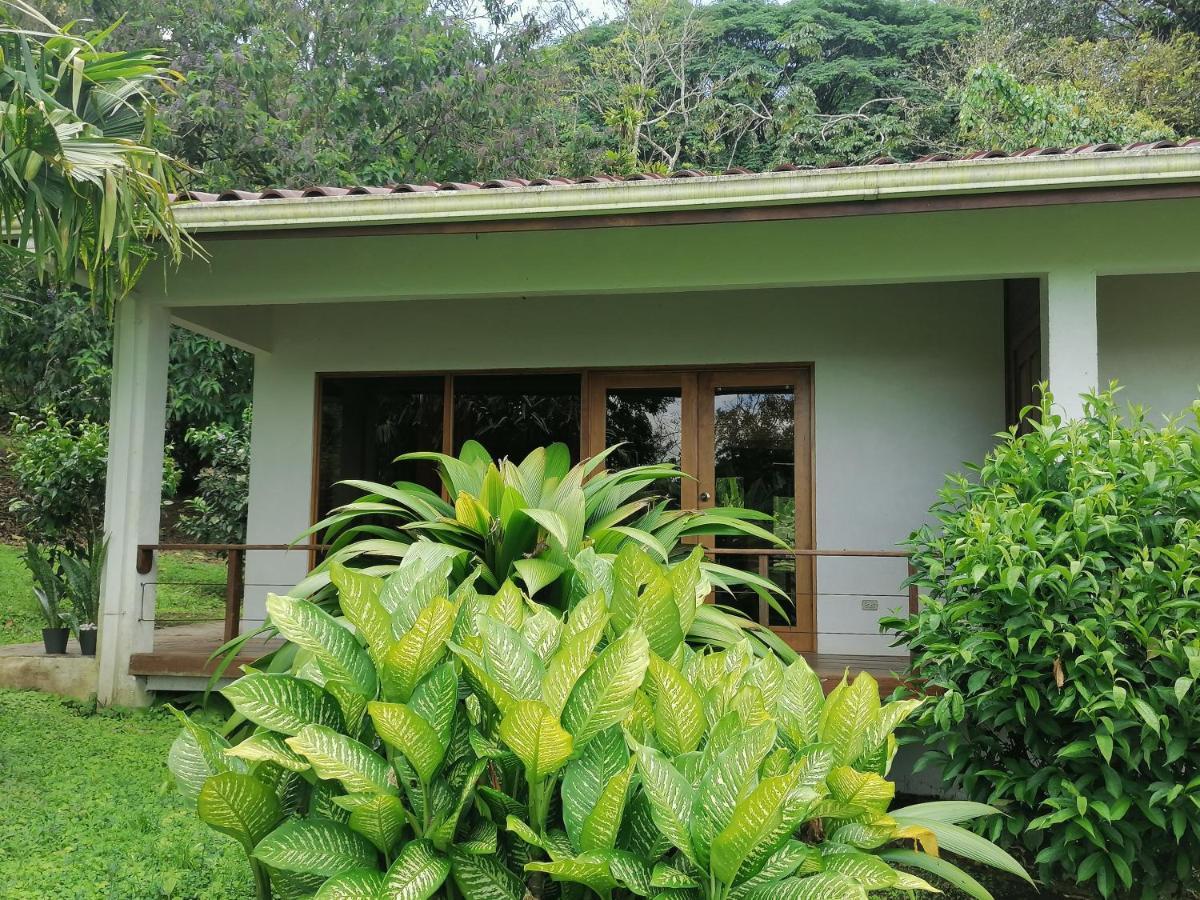 La Ceiba Tree Lodge Tilaran Ngoại thất bức ảnh